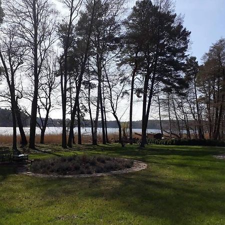 Penthouse Bernd Im Waldschloesschen Direkt Am See Wendisch Rietz Eksteriør bilde