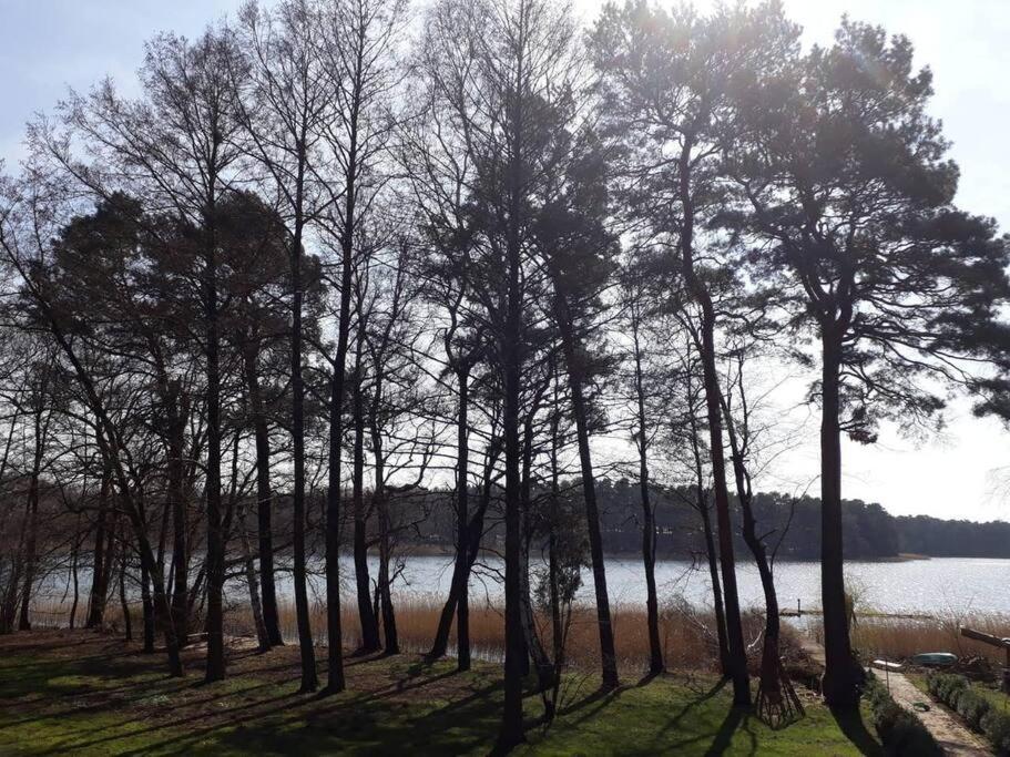 Penthouse Bernd Im Waldschloesschen Direkt Am See Wendisch Rietz Eksteriør bilde