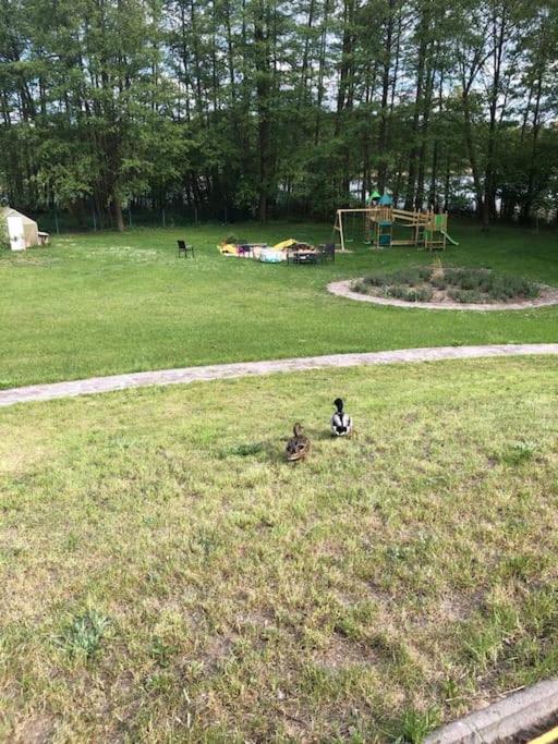 Penthouse Bernd Im Waldschloesschen Direkt Am See Wendisch Rietz Eksteriør bilde